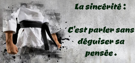 Valeur judo : la sinc&eacute;rit&eacute; &ndash; Dojo Javen&eacute;en