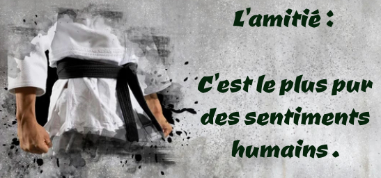 Valeur judo : l'amiti&eacute; &ndash; Dojo Javen&eacute;en