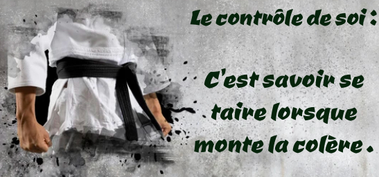 Valeur judo : le contr&ocirc;le de soi &ndash; Dojo Javen&eacute;en
